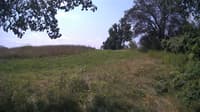 The field cam, Jul 26, 2024 at 9:59am