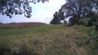 The field cam, Jul 26, 2024 at 11:15am