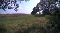 The field cam, Jul 26, 2024 at 12:42pm