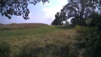 The field cam, Jul 26, 2024 at 12:49pm
