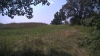 The field cam, Jul 27, 2024 at 10:00am