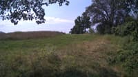 The field cam, Jul 28, 2024 at 9:10am