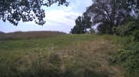 The field cam, Jul 28, 2024 at 9:28am