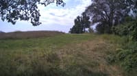 The field cam, Jul 28, 2024 at 9:31am
