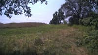 The field cam, Jul 28, 2024 at 10:19am