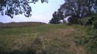 The field cam, Jul 28, 2024 at 10:28am