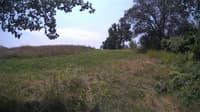 The field cam, Jul 28, 2024 at 10:38am