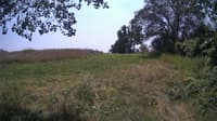 The field cam, Jul 28, 2024 at 11:16am