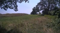 The field cam, Jul 28, 2024 at 11:25am