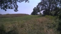 The field cam, Jul 28, 2024 at 11:42am