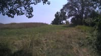 The field cam, Jul 28, 2024 at 11:45am