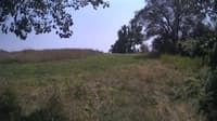 The field cam, Jul 28, 2024 at 11:48am
