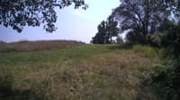 The field cam, Jul 28, 2024 at 12:07pm