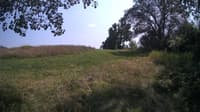 The field cam, Jul 28, 2024 at 12:42pm