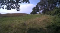 The field cam, Jul 30, 2024 at 8:08am