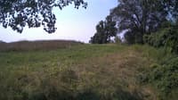 The field cam, Jul 30, 2024 at 9:19am