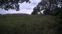 The field cam, Aug 4, 2024 at 12:30pm