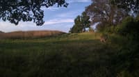 The field cam, Aug 7, 2024 at 5:07am