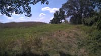 The field cam, Aug 14, 2024 at 9:40am