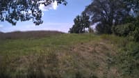 The field cam, Aug 14, 2024 at 9:51am