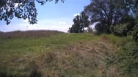 The field cam, Aug 14, 2024 at 10:22am