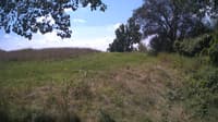 The field cam, Aug 14, 2024 at 10:28am
