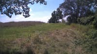 The field cam, Aug 14, 2024 at 10:29am