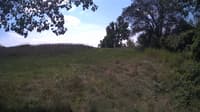 The field cam, Aug 14, 2024 at 10:34am