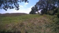 The field cam, Aug 14, 2024 at 10:39am
