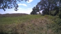 The field cam, Aug 14, 2024 at 10:40am