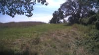 The field cam, Aug 14, 2024 at 11:09am