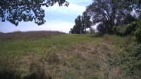 The field cam, Aug 14, 2024 at 11:14am
