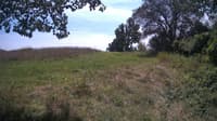 The field cam, Aug 14, 2024 at 11:15am