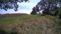 The field cam, Aug 14, 2024 at 11:20am