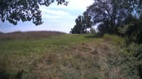 The field cam, Aug 14, 2024 at 11:54am