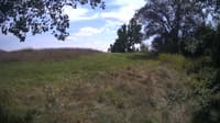 The field cam, Aug 14, 2024 at 12:12pm