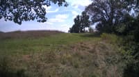 The field cam, Aug 14, 2024 at 12:14pm