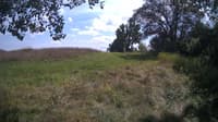 The field cam, Aug 14, 2024 at 12:30pm