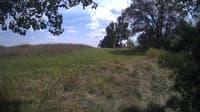 The field cam, Aug 14, 2024 at 12:32pm