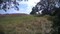 The field cam, Aug 14, 2024 at 12:32pm