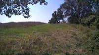The field cam, Aug 21, 2024 at 9:26am