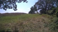 The field cam, Aug 21, 2024 at 10:28am