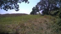 The field cam, Aug 21, 2024 at 10:47am