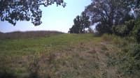 The field cam, Aug 21, 2024 at 10:50am