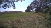 The field cam, Aug 21, 2024 at 10:51am
