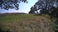 The field cam, Aug 21, 2024 at 12:05pm