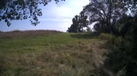 The field cam, Aug 21, 2024 at 12:51pm