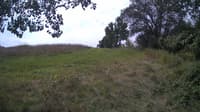 The field cam, Aug 22, 2024 at 9:56am
