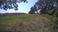 The field cam, Aug 24, 2024 at 10:15am