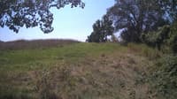 The field cam, Aug 24, 2024 at 10:25am
